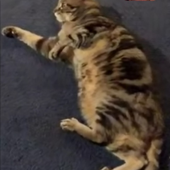 Meet your Posher, Nate - Picture 1 of 1